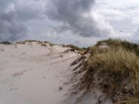 Hohe Dünen werden erklommen - Dueodde Dünen